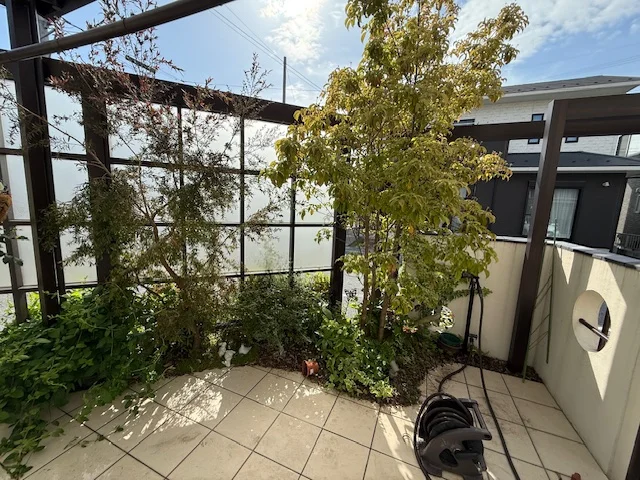 植物と虫の元気な季節