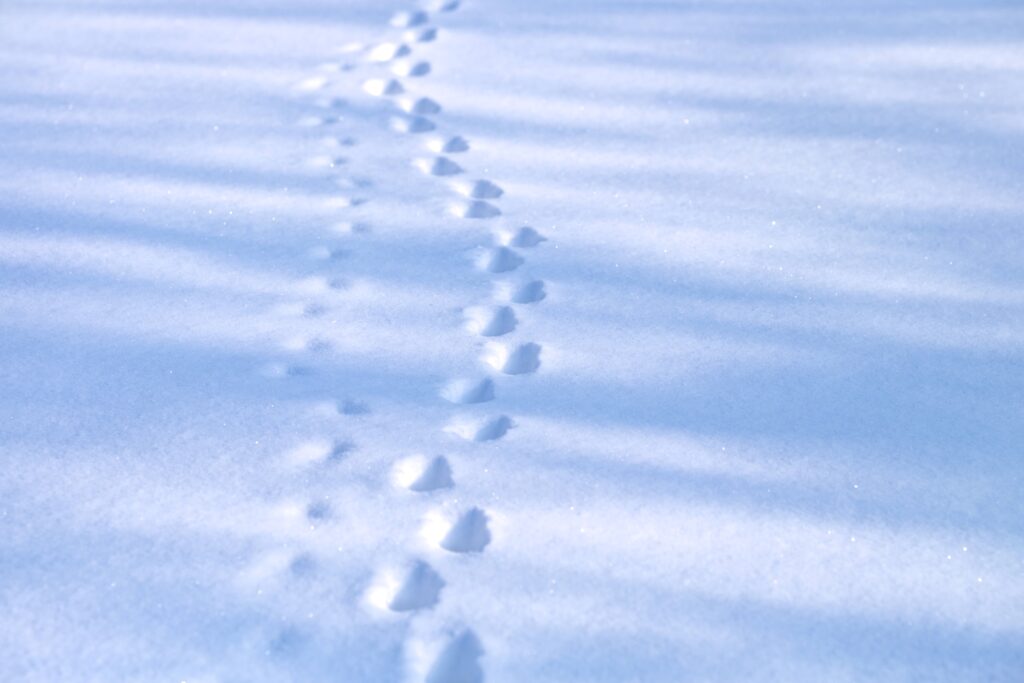 冬季休業のお知らせ