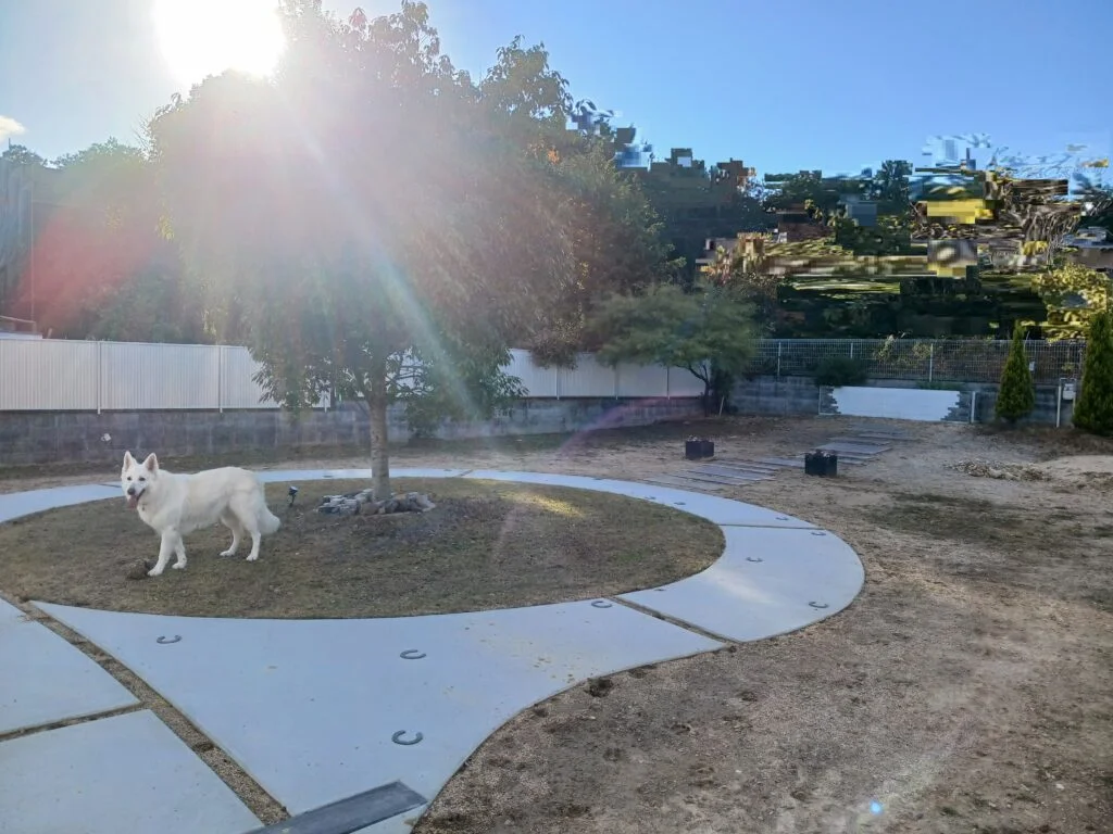 みんなにやさしいドッグラン（栗東市）