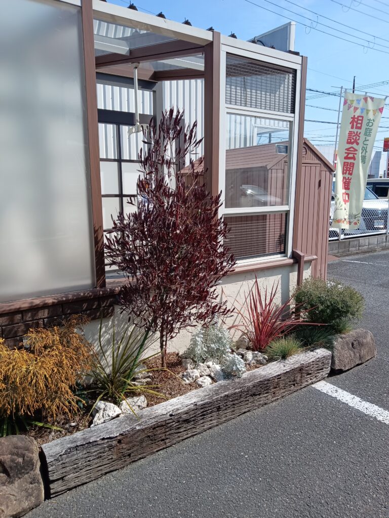 おすすめのシンボルツリー　その後