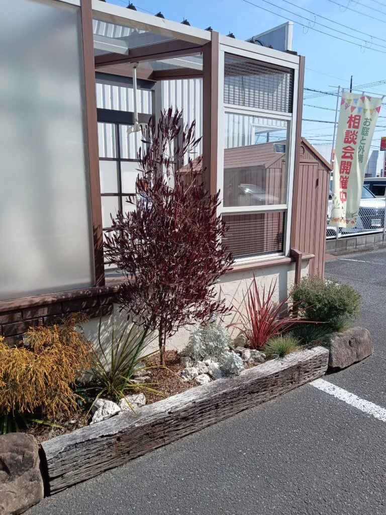 おすすめのシンボルツリー　その後