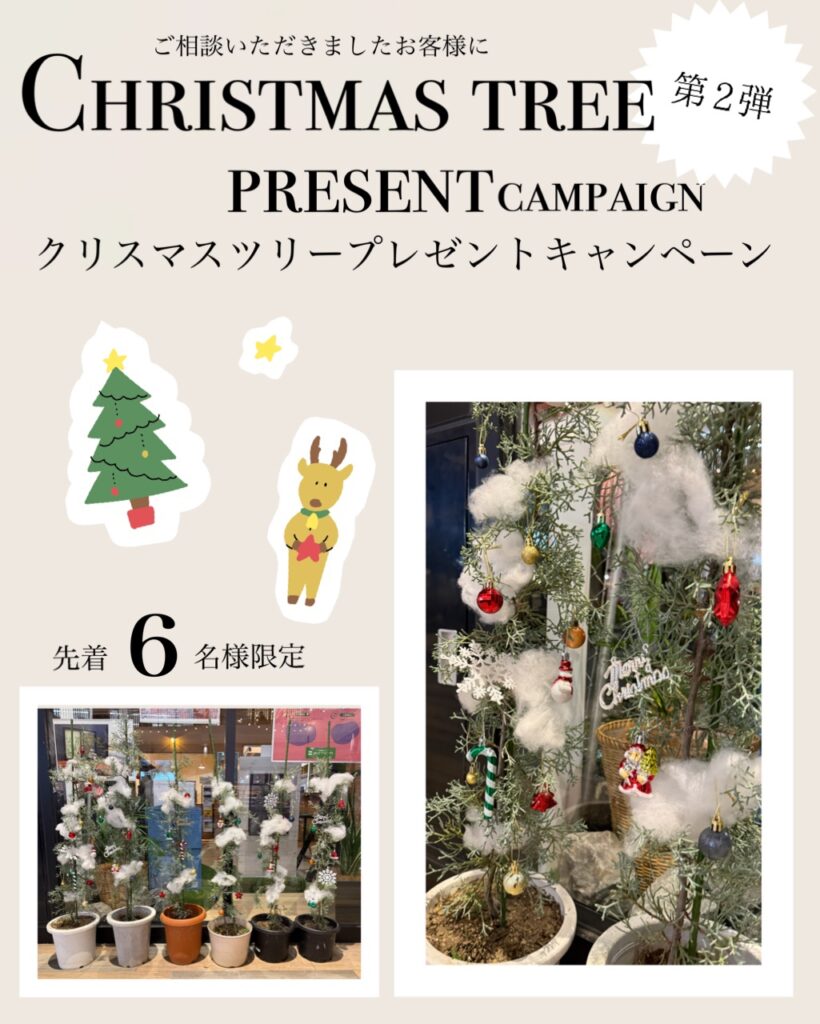 ご相談で「ブログ見たよ♡」、ちょっと早めのクリスマス🎄SOTOYA京阪店限定・オリジナルツリープレゼント第2弾！