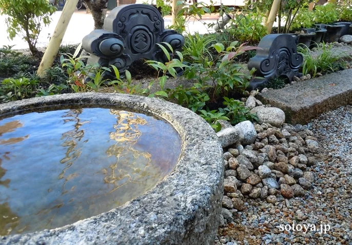 庭に佇むアクセント