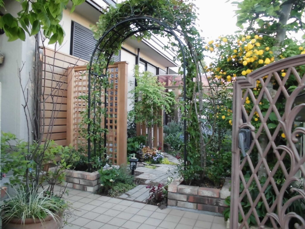 植物を引き立てる演出