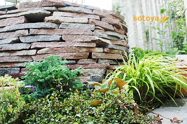 天然のフラワーBOX