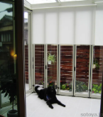 愛犬とくつろぐ空間