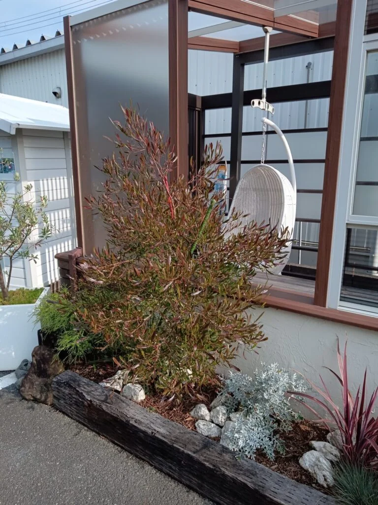 続・おすすめのシンボルツリー