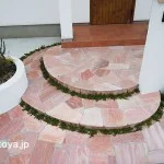 アールラインを引き立てるタイム（近江八幡市）