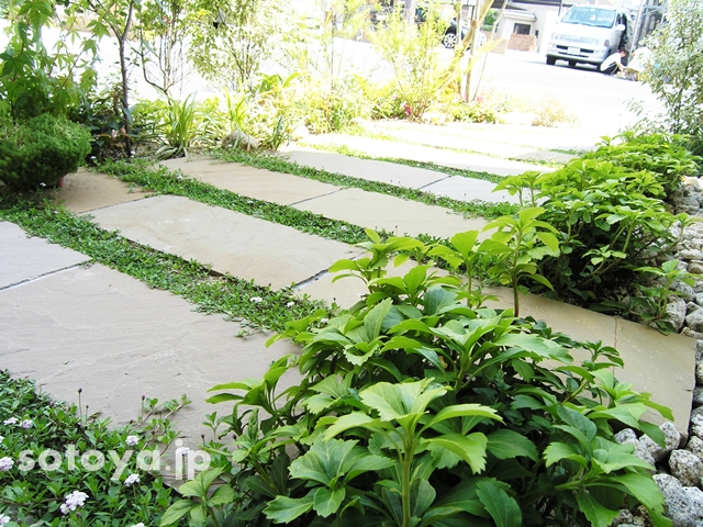 20141120image2