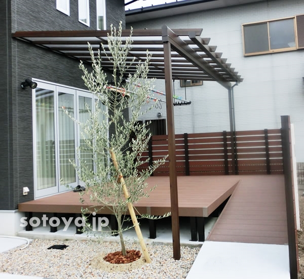 20141120image2