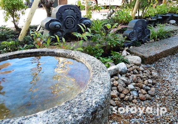 水のある庭